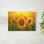 Güneş Batma Temalı Ay Çiçeği Posteri 35X50 CM