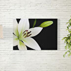 Zambak Tomurcuk Poster 70X100 CM