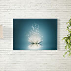 Lotus Çiçeği Poster 50X70 CM