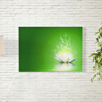 Yeşiş Arkaplanlı Lotus Çiçeği Poster 35X50 CM