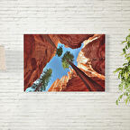 Vadi Arasında Ağaçlar Posteri 70X100 CM