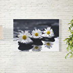 Papatya Posteri 50X70 CM