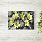 Orkide Çiçeği Posteri 50X70 CM