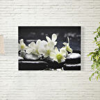 Orkide Çiçeği Posteri 50X70 CM