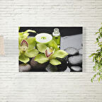 Orkide Çiçeği Posteri 35X50 CM