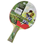 DELTA RTS296 ADVANCE MASA TENİSİ RAKETİ 2 YILDIZ 