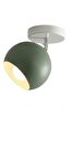 Rsylight Metal Retro Su Yeşili Tavan Plofyoner 180 Derece Hareketli Modern Spor Avize Çap:20 cm