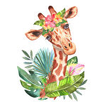 Çiçek Taçlı Zürafa