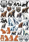 Ayı Sticker Set