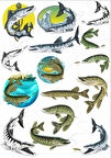 Balık Sticker Set