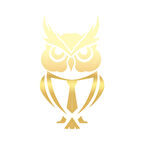 Kıravatlı Baykuş Sticker 17x17 Cm Gold