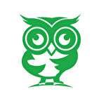 Sevimli Baykuş Sticker 17x17 Cm Yeşil