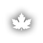 Çınar  Yaprağı Araba Sticker 17x17 Cm Beyaz