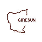 Giresun Harita Araba Sticker 17x17 Cm Kahverengi