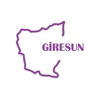 Giresun Harita Araba Sticker 17x17 Cm Mor