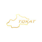 Tokat Harita Araba Sticker 17x17 Cm Gold
