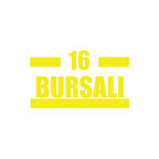 16 Bursalı Araba Sticker 17x17 Cm Sarı