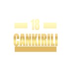 18 Çankırılı Araba Sticker 17x17 Cm Gold