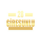 28 Giresunlu Araba Sticker 17x17 Cm Gold
