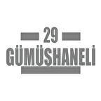 29 Gümüşhaneli Araba Sticker 17x17 Cm Gri