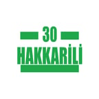 30 Hakkarili Araba Sticker 17x17 Cm Yeşil