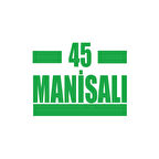 45 Manisalı Araba Sticker 17x17 Cm Yeşil