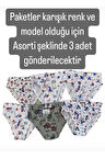 SDF Asorti Karışık Renk ve Model 3lü Erkek Çocuk  Slip Set 1081