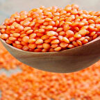 Ata Tohumları Geleneksel Kırmızı Mercimek Tohumu (20 Tohum