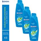 Blendax Yoğun Nemlendirme Aloe Vera Özlü Şampuan 500 ml x 3 Adet