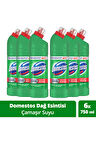 Domestos Dağ Esintisi Çamaşır Suyu 750 ml 6'lı