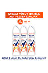 Rexona Üstün Koruma Kadın Sprey Deodorant Şeftali ve Limon Otu 150 ml x3