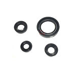 Motolider Keçe Seti 4'lü Bajaj Pulsar Ns200