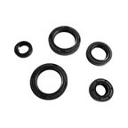 Csr Yağ Keçe Seti 5'li Honda Pcx 150