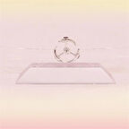 Leyloş Dekoratif Masa Üstü Obje Manyetik Kinetik Orbital Dönen Yunuslar