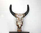Duvara Asmalı Bufalo Kafası