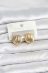 316L Çelik Gold Renk Deniz Kabuğu Model Kadın Küpe TJ-BKP11865