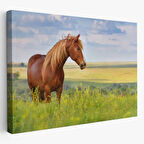 Manzara ve At, Hayvan Temalı Dekoratif Kanvas Tablo, Duvar Dekoru 1131