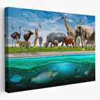 Hayvanlar Alemi, Hayvan Temalı Dekoratif Kanvas Tablo, Duvar Dekoru 1177
