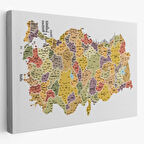 İl ve İlçe Detaylı Eğitici Öğretici Türkiye Haritası Dekoratif Kanvas Tablo, Duvar Dekoru 3042
