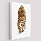 Vahşi Leopar Hayvan Temalı Dekoratif Kanvas Tablo, Duvar Dekoru 5957