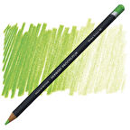 Supertrend Procolour Kuru Boya Kalemi 49 GRASS GREEN