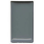 Supertrend Kuretake Gansai Tambi Tablet Sulu Boya 21 GRAY