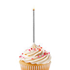 Simli Gümüş Doğum Günü Mumu