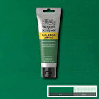 Supertrend Galeria Akrilik Boya 120 ml. 484 Permanent Green Medium