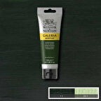 Supertrend Galeria Akrilik Boya 120 ml. 311 Hooker's Green