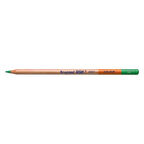 Bruynzeel Design Colour Pencils Kuru Boya Kalemi 66 Green
