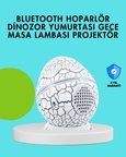 Dinozor Yumurtası Tasarımlı Gece Lambası – Müzik ve Işık Senkronizasyonlu