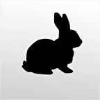 Folyo Sticker Tavşan
