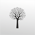 Folyo Sticker Ağaç