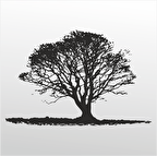 Folyo Sticker Ağaç